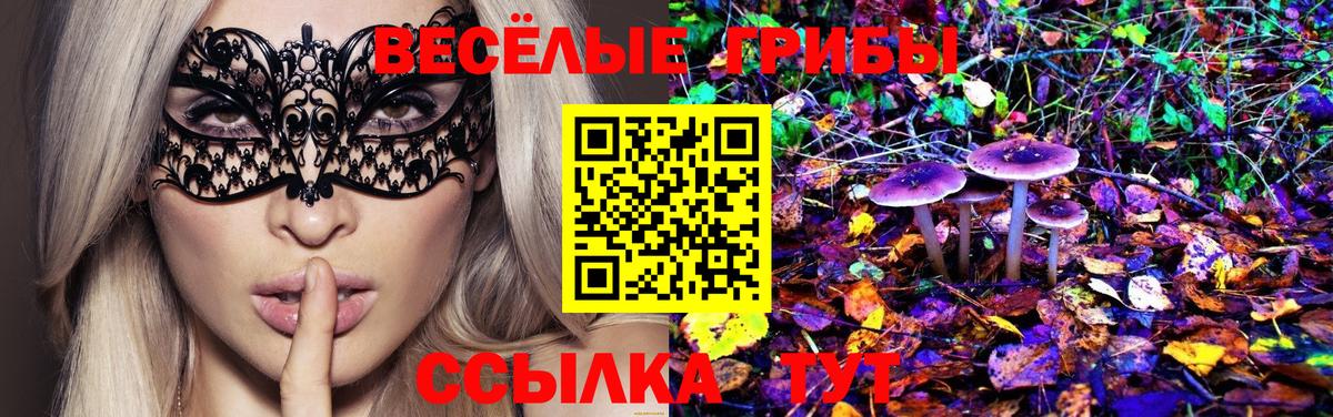Псилоцибиновые грибы GOLDEN TEACHER Тихорецк