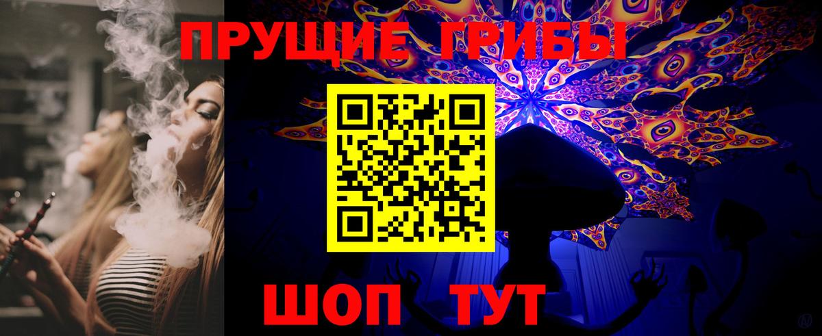 Тихорецк  Псилоцибиновые грибы Psilocybe  Вход с VPN 