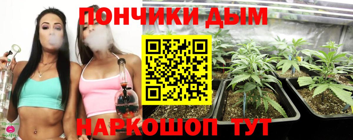 Тихорецк  Бошки Шишки LSD WEED  Бошки марихуана конопля  Вход с VPN 